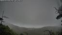 ./images/calvert/fitz-hugh-hecate/20250528/fitz-hugh-hecate20250528_172510M.jpg