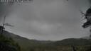 ./images/calvert/fitz-hugh-hecate/20250528/fitz-hugh-hecate20250528_173508M.jpg