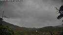 ./images/calvert/fitz-hugh-hecate/20250528/fitz-hugh-hecate20250528_174509M.jpg