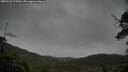 ./images/calvert/fitz-hugh-hecate/20250528/fitz-hugh-hecate20250528_175010M.jpg