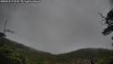 ./images/calvert/fitz-hugh-hecate/20250528/fitz-hugh-hecate20250528_175509M.jpg