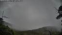 ./images/calvert/fitz-hugh-hecate/20250528/fitz-hugh-hecate20250528_180508M.jpg