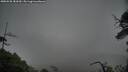 ./images/calvert/fitz-hugh-hecate/20250528/fitz-hugh-hecate20250528_181010M.jpg