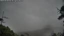 ./images/calvert/fitz-hugh-hecate/20250528/fitz-hugh-hecate20250528_181510M.jpg