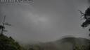 ./images/calvert/fitz-hugh-hecate/20250528/fitz-hugh-hecate20250528_182509M.jpg