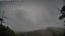 ./images/calvert/fitz-hugh-hecate/20250528/fitz-hugh-hecate20250528_183509M.jpg
