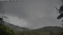 ./images/calvert/fitz-hugh-hecate/20250528/fitz-hugh-hecate20250528_184008M.jpg