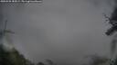 ./images/calvert/fitz-hugh-hecate/20250528/fitz-hugh-hecate20250528_185009M.jpg