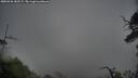 ./images/calvert/fitz-hugh-hecate/20250528/fitz-hugh-hecate20250528_185509M.jpg
