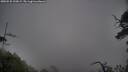 ./images/calvert/fitz-hugh-hecate/20250528/fitz-hugh-hecate20250528_190009M.jpg