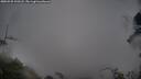 ./images/calvert/fitz-hugh-hecate/20250528/fitz-hugh-hecate20250528_190508M.jpg