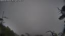 ./images/calvert/fitz-hugh-hecate/20250528/fitz-hugh-hecate20250528_191008M.jpg