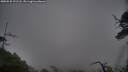 ./images/calvert/fitz-hugh-hecate/20250528/fitz-hugh-hecate20250528_191508M.jpg