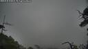 ./images/calvert/fitz-hugh-hecate/20250528/fitz-hugh-hecate20250528_192008M.jpg