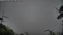./images/calvert/fitz-hugh-hecate/20250528/fitz-hugh-hecate20250528_192508M.jpg