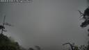 ./images/calvert/fitz-hugh-hecate/20250528/fitz-hugh-hecate20250528_193009M.jpg