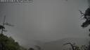 ./images/calvert/fitz-hugh-hecate/20250528/fitz-hugh-hecate20250528_194008M.jpg