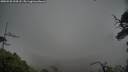 ./images/calvert/fitz-hugh-hecate/20250528/fitz-hugh-hecate20250528_194508M.jpg