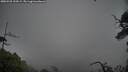./images/calvert/fitz-hugh-hecate/20250528/fitz-hugh-hecate20250528_195009M.jpg