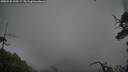 ./images/calvert/fitz-hugh-hecate/20250528/fitz-hugh-hecate20250528_195508M.jpg