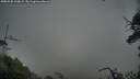./images/calvert/fitz-hugh-hecate/20250528/fitz-hugh-hecate20250528_200009M.jpg