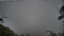 ./images/calvert/fitz-hugh-hecate/20250528/fitz-hugh-hecate20250528_200508M.jpg