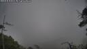 ./images/calvert/fitz-hugh-hecate/20250528/fitz-hugh-hecate20250528_201008M.jpg