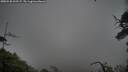 ./images/calvert/fitz-hugh-hecate/20250528/fitz-hugh-hecate20250528_201507M.jpg
