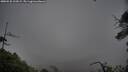 ./images/calvert/fitz-hugh-hecate/20250528/fitz-hugh-hecate20250528_202009M.jpg