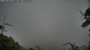 ./images/calvert/fitz-hugh-hecate/20250528/fitz-hugh-hecate20250528_202506M.jpg