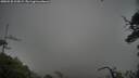 ./images/calvert/fitz-hugh-hecate/20250528/fitz-hugh-hecate20250528_203009M.jpg
