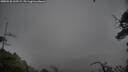 ./images/calvert/fitz-hugh-hecate/20250528/fitz-hugh-hecate20250528_203509M.jpg