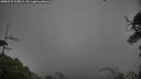 ./images/calvert/fitz-hugh-hecate/20250528/fitz-hugh-hecate20250528_204009M.jpg