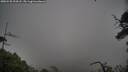 ./images/calvert/fitz-hugh-hecate/20250528/fitz-hugh-hecate20250528_204508M.jpg