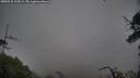 ./images/calvert/fitz-hugh-hecate/20250528/fitz-hugh-hecate20250528_205009M.jpg