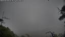 ./images/calvert/fitz-hugh-hecate/20250528/fitz-hugh-hecate20250528_205508M.jpg