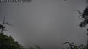 ./images/calvert/fitz-hugh-hecate/20250528/fitz-hugh-hecate20250528_210008M.jpg