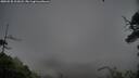 ./images/calvert/fitz-hugh-hecate/20250528/fitz-hugh-hecate20250528_212008M.jpg