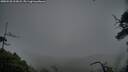 ./images/calvert/fitz-hugh-hecate/20250528/fitz-hugh-hecate20250528_213008M.jpg