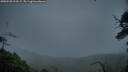 ./images/calvert/fitz-hugh-hecate/20250528/fitz-hugh-hecate20250528_213508M.jpg