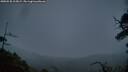 ./images/calvert/fitz-hugh-hecate/20250528/fitz-hugh-hecate20250528_215008M.jpg