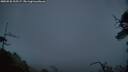 ./images/calvert/fitz-hugh-hecate/20250528/fitz-hugh-hecate20250528_215506M.jpg