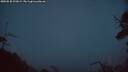 ./images/calvert/fitz-hugh-hecate/20250528/fitz-hugh-hecate20250528_221008M.jpg