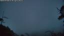 ./images/calvert/fitz-hugh-hecate/20250529/fitz-hugh-hecate20250529_044508M.jpg