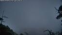 ./images/calvert/fitz-hugh-hecate/20250529/fitz-hugh-hecate20250529_045508M.jpg