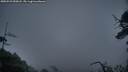 ./images/calvert/fitz-hugh-hecate/20250529/fitz-hugh-hecate20250529_050007M.jpg