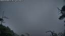 ./images/calvert/fitz-hugh-hecate/20250529/fitz-hugh-hecate20250529_050509M.jpg
