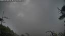 ./images/calvert/fitz-hugh-hecate/20250529/fitz-hugh-hecate20250529_052507M.jpg