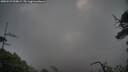 ./images/calvert/fitz-hugh-hecate/20250529/fitz-hugh-hecate20250529_054009M.jpg