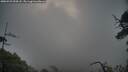 ./images/calvert/fitz-hugh-hecate/20250529/fitz-hugh-hecate20250529_054508M.jpg